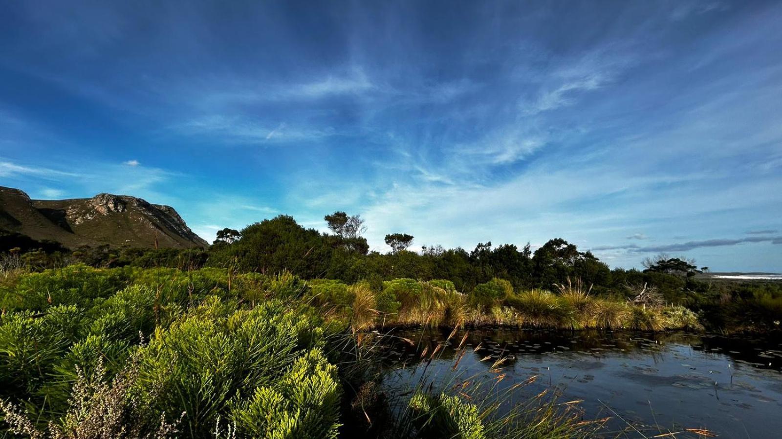 Blombos Self-Catering House Villa Franskraalstrand Exteriör bild