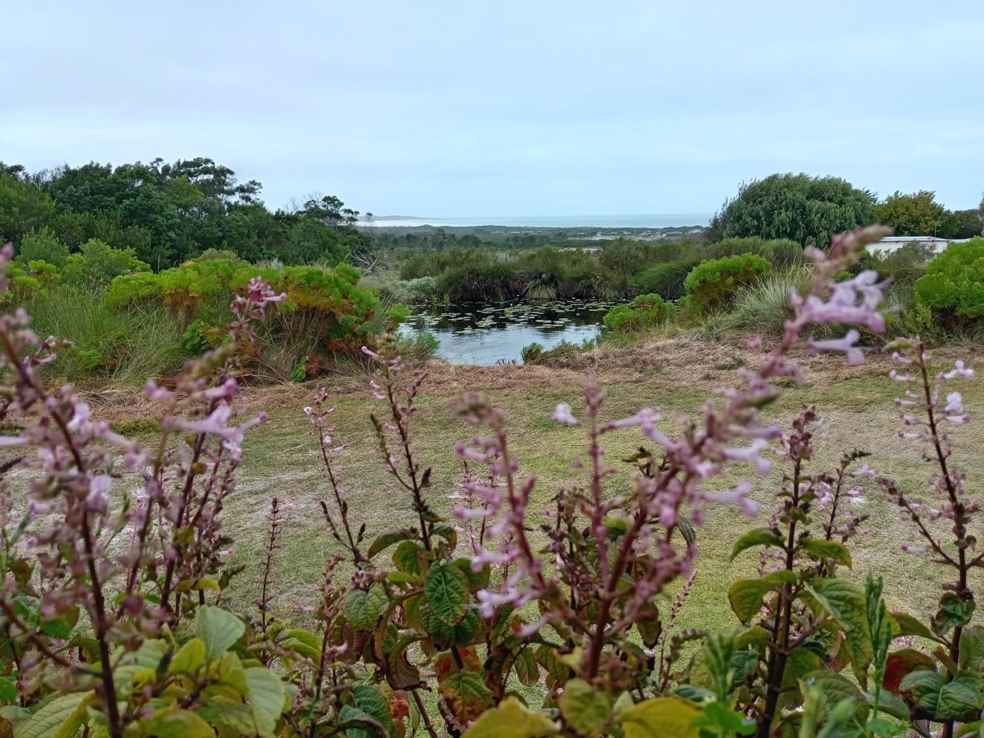 Blombos Self-Catering House Villa Franskraalstrand Exteriör bild